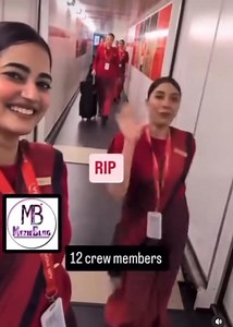 222K views · 3K reactions | triste : Toutes ces magnifiques reatures sont morte dans le crash de l'avion indien  | Mister Richard | Facebook