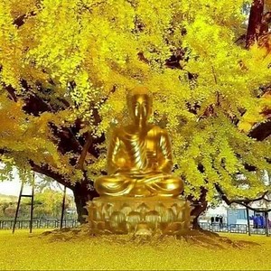 5.1K views | GPC Health on Reels | Facebook