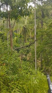 11K views · 96 reactions | hati hati di tanah lonsor #nofrisipetualangシ゚ #fypシ゚ #viralシ | Nofri Sipetualang | Facebook