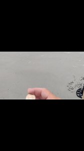 1.7K views · 463 reactions | So many awesome beach finds #detecting #beach #digging #gold #silver #treasure #found #lost | Joe Digger | Facebook
