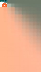 PlantSnap.com identifies Common sheep sorrel (Rumex acetosella), a species of flowering plant in the buckwheat family Polygonaceae native to Eurasia and the British Isles, but it has been introduced to most of the rest of the Northern Hemisphere. | PlantSnap