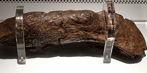 Scientist calls discovery of 'world's biggest poo' most 'exciting excrement ever'