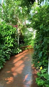 Wonderful Winged Wednesday! | The Key West Butterfly & Nature Conservatory