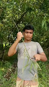 Banana leaf umbrella #outdoors #camping #bushcraft #survival #sentohub #skills #lifehacks #facts #id | Maruf Skills