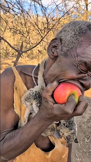 Vida en la selva: ¿Podrías vivir así sin dinero ni restricciones?