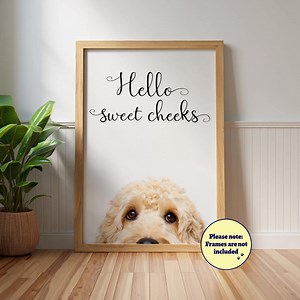 Lustiges Cockapoo 'hallo süßes' Poster: Badezimmerhund, Apricot Cockapoo - Etsy.de