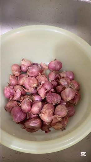 How to store shallots 🧅 #shallots #storing #howtostore #howtostorevegetables #shortsvideo