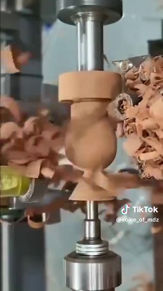 Attractive Tamil Facts That Inspire and Motivate