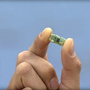 Tracking Epic Migrations: Tools of the Wildlife Biologist | Bird Academy • The Cornell Lab