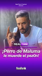 #RealTime | Maluma vivió incomodo momento por su perro y su pezón #Maluma #Feedvak #Tetilla | Johnny Torres