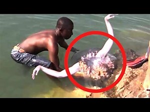 Deniz Kızları Kameralara Yakalandı!!! Gerçek Hayatta Görülen 10 Deniz Kızı