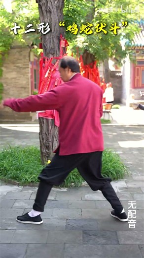 Xing Yi Quan - 形意拳 -Hsing I Chuan - Hình ý quyền forms