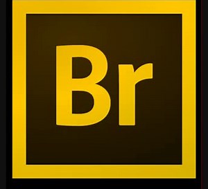 Adobe Bridge CC 2015 6.1.1 32-64 Bits windows Full crack free