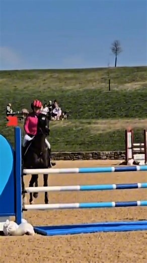 1.1K views | Grateful to be sponsored by CWD ❤️ These saddles are the most comfortable I’ve ever ridden in, and my horses love them just as much as I do. The balance, fit, and feel are unmatched — thank you CWD for your support, this is the only saddle I’ll ever ride in! | Defying Gravity Eventing | Facebook