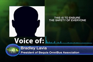 4.6K views · 37 reactions | Vans operators on the Grenadine island of...