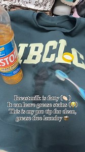 That’s it. That’s the tip. 🧺 lestoil (it smells like a strong chemical, and I like to wash 2x after to be no-fragrance clean) 🧼 scrub and let sit! Wash and wah-lah, CLEAN. Even already washed stains. Yep, works for bacon 🥓 splatters too. | Motherhood Untamed Lactation & Education