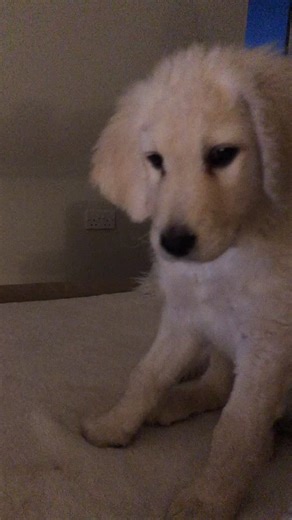 ImogenPower on TikTok