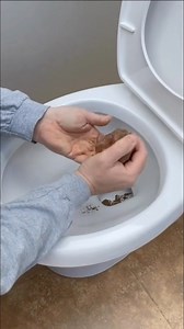 World’s Fast Way To Unclog A Toilet! #diy #plumbing #plumber #plumbinghacks | That Fix It Guy
