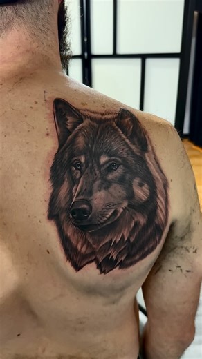 Realistic wolf tattoo I did recently really happy with how the texture and depth came out on this one. 🐺🔥 Supplies: @fytsupplies Song: @cblakkthereaper Tattoo Artist: @kingcontattoos • • • • • • • • #tattoo #tattoos #ink #tattooartist #inked #art #tattooart #tattooed #tattooideas #tattoolife #artist #tattoodesign #blackwork #blackandgreytattoo #love #tattooing #tattooist #tatuagem #tattooink #instagood #tattoostyle #tatuajes #traditionaltattoo #tatuaje #tattooer #blackworktattoo #tattooflash #