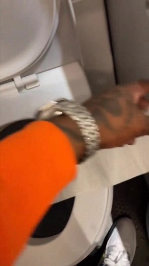 the jumbo jet toilet almost sucked out my eye balls 👀 #foryou #tiktok #fyp | Carrie G. Thompson