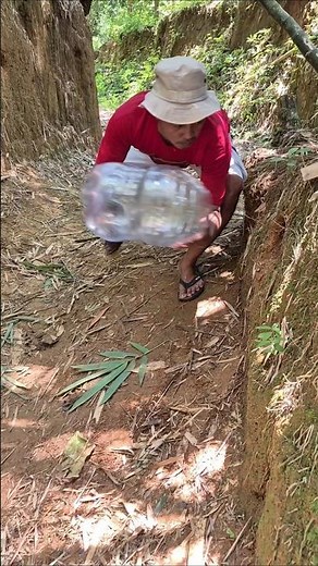 😱"catching a civet on a cliff #shortvideo #fypシ゚