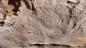 Ancient cave art discovered in Alabama is largest-known in North America