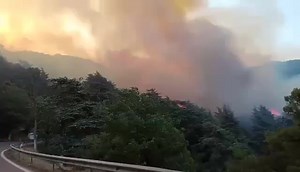 5.6K views · 143 reactions | الشريعة تستغيت ياخاوتي | Algerian Women | Facebook