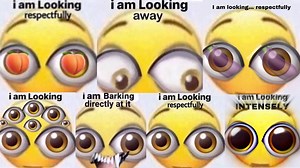I Am Looking Respectfully | Know Your Meme