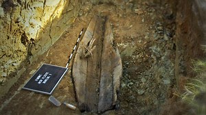 Twin Cities PBS – Watch Now