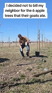 prevent neighbor drama and planting apple trees. the neighbors goats ate 6 of my trees so I had to replant them. #neighbordrama #plantingappletrees #goatdrama #goat #appletree #aaronbelk | aaronsbitofeverything
