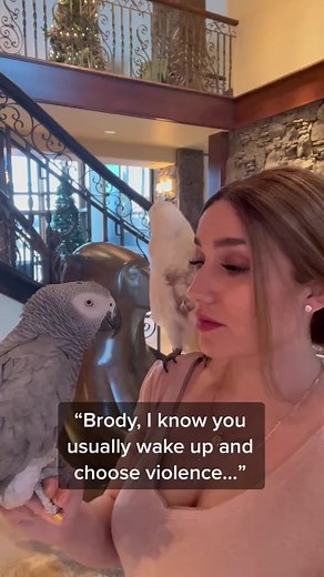 Be happy🦜🥰 #parrot #petsofreels #birdsofreels #talkingparrot #birds #comedy #parrotlife #adorable #pet #cute #trending | Megan