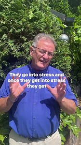 Why is my plant getting attacked with insects and fungal diseases.Stressed Plants #gardentipsforbeginners #gardening #plants #plantpests | Dave The Plantman