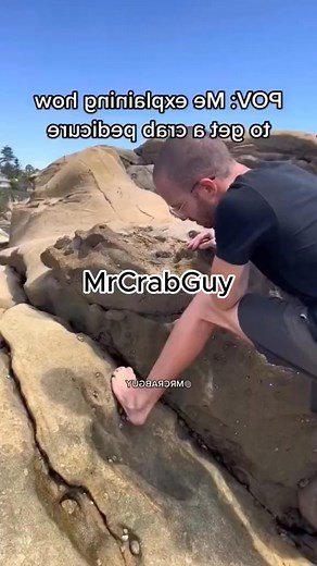 5_No WAY Crabs Laugh! 😱🦀🦶😏 Crab ASMR Crab ASMR #asmr #asmrsoap #menscrossbodybags #satisfyingvideos #sportswear #oddlysatisfying #shrimp #food #usa #seafood #satisfying #shorts #explorepage #crab #love #foodie #gym #workout #viral #miami #instafood #trending #asmrvideo #slime | Conor Heath