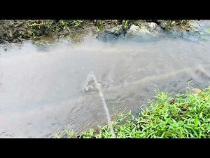 Peeing to Public Road Beautiful evening 🍃🌄