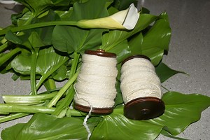 How to Hand-Dye Wool With Arum Lily Leaves
