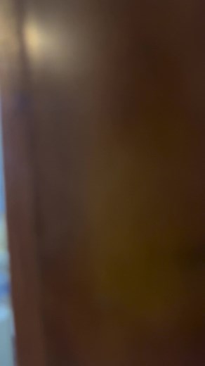 3.2K views · 49 reactions | ZIBA TULUM Inspirado en la naturaleza y un ambiente natural con el misticismo de Tulum 律‍♀️La magia en su diseño arquitectónico concibe una dualidad entre la jungla y el Mar Caribe Un proyecto a minutos del Mar y el centro de Tulum Conoce el showroom y enamórate de este increíble proyecto 朗 Escríbenos para agendar tu visita  | Maya Ocean Real Estate | Facebook