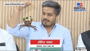 Political stunts at the expense of innocent lives are both cruel and illegal. PETA India calls out MLA Rohit Rajendra Pawar for dangling a tied and struggling crab to make a point during a recent press conference and requests that the crab be handed over to the group for veterinary care and rehabilitation back into nature. https://petain.vg/8u5 | PETA India