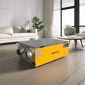 [Hot Item] High Efficiency Green House Home Bathroom Swimming Pool Ceiling Dehumidifier