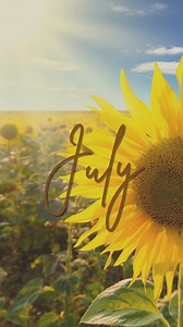 15K views · 109 reactions | #July #etymology #linguistics #language #history | Linguistic Discovery | Facebook