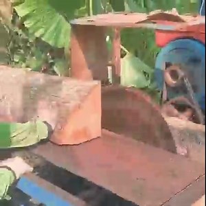 11K views · 105 reactions | Wood cutting machine tree cutting machine | Daily Post | Facebook