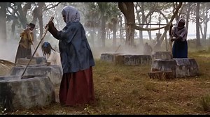 Film Streams on Reels