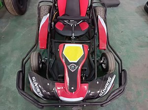 [Hot Item] Best Quality 2000W Electric Mini Kart Adult Pedal Go Kart for Sale