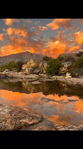 Suikerbossie Guest Farm on Reels
