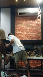 Hardscaping 200x50x50 #aquascape #fishkeeping #aquariums #plantedtank | Wahyu Reppi