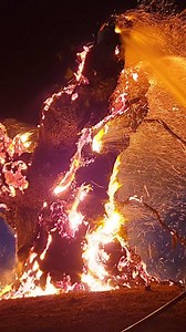 An oak tree thought to be about 500 years old has been destroyed in a fire. More on the story here 👉 https://bbc.in/38DdI4J | BBC Birmingham