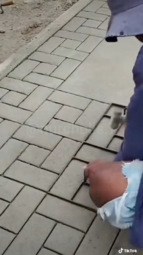 168K views · 1.9K reactions | Paving za kuchora/drawing paving...... ☎️ +255 714 122 011......#tanzania #kenya #daressalaam #africa #zanzibar #diamondplatnumz #arusha #mwanza #dodoma #uganda #wcb #travel #life #safari #wasafi #love #millardayoupdates #mbeya #nairobi #harmonize #rwanda #eastafrica #kilimanjaro #alikiba #gainwithmchina #serengeti #wasafitv #fashion #wasafimedia #wemasepetu | Ochoa Builders Limited | Facebook