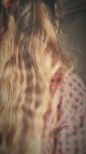 83 reactions · 3 comments | Bhula denge tumko Sanam dheere dheere  #anjalipandey #trending #viral | Anjalipandey.111 | Facebook