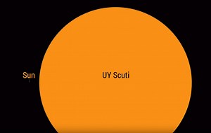 Largest Star In The Universe? Facts About UY Scuti - AstroJunkies.com