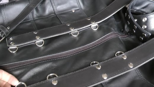 Mr S Deluxe Leather Sleepsack Review | The Happy Pup | Gpup Alpha