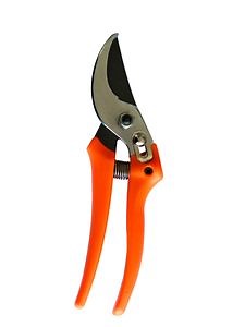 [Hot Item] Fruit Scissors High Carbon Steel Manual Pruner Garden Pruning Shears